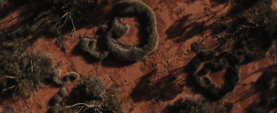 Our Planet, The People, My Blood | Film with Director Q&A