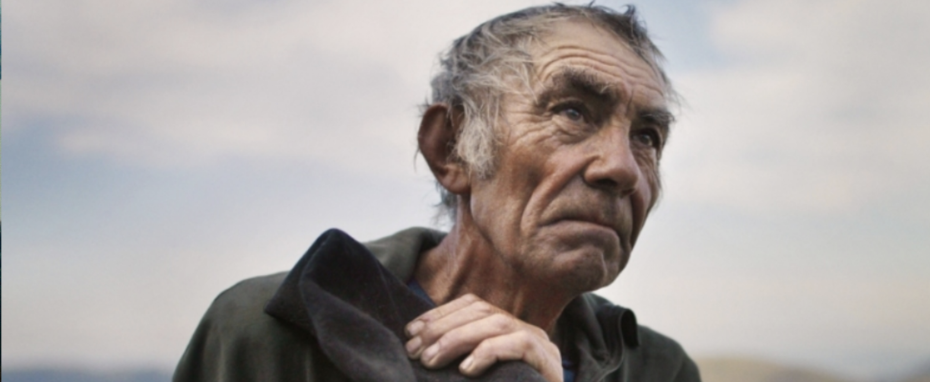 The Shepherd and The Bear