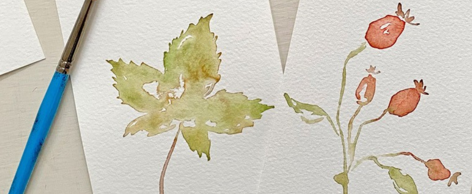 Autumn Treasures Watercolour Workshop for Beginners with Carla Gebhard